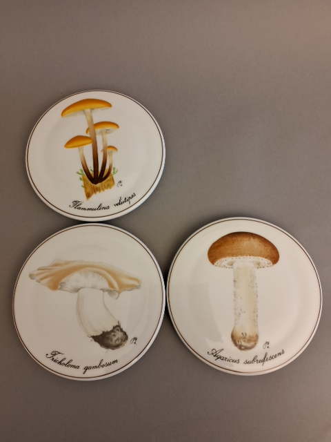 Svampeplatter, B&G, 11 stk